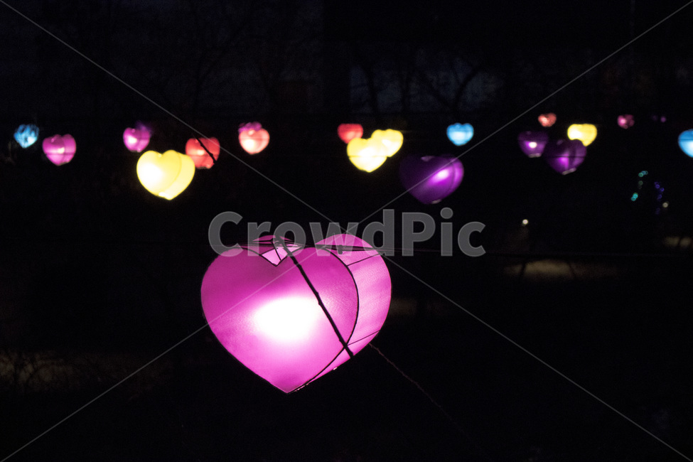 조명,축제,빛,하트,사랑표,분홍색,알록달록,등,야경,야경,밤,풍경,nightscape,night,landscape,lighting,lamp,램프