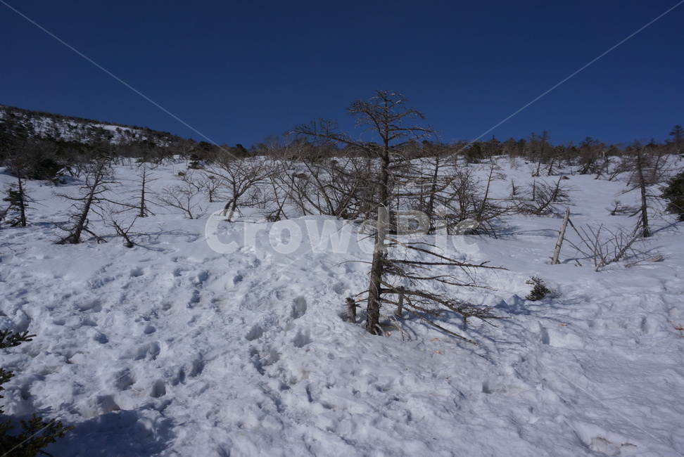 nature,자연,outdoors,옥외,설산,제주도,한라산,눈,겨울,겨울풍경,겨울산,겨울,계절,winter,season,자연,풍경,nature,landscape