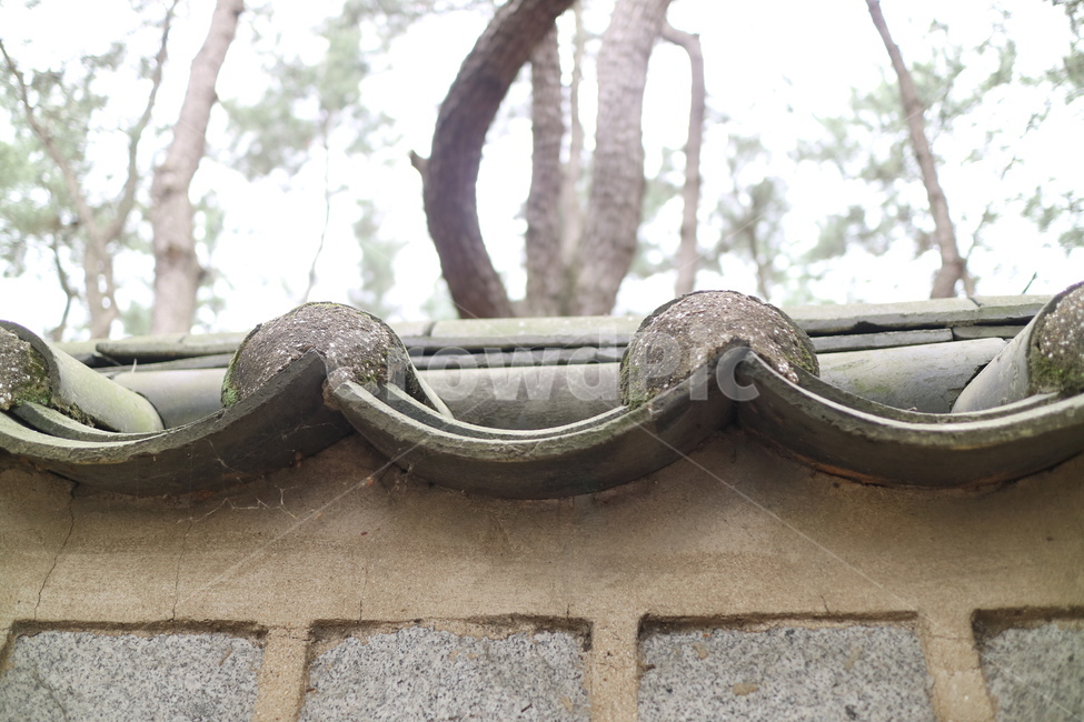 경주,한옥,한옥마을,한옥집,지붕