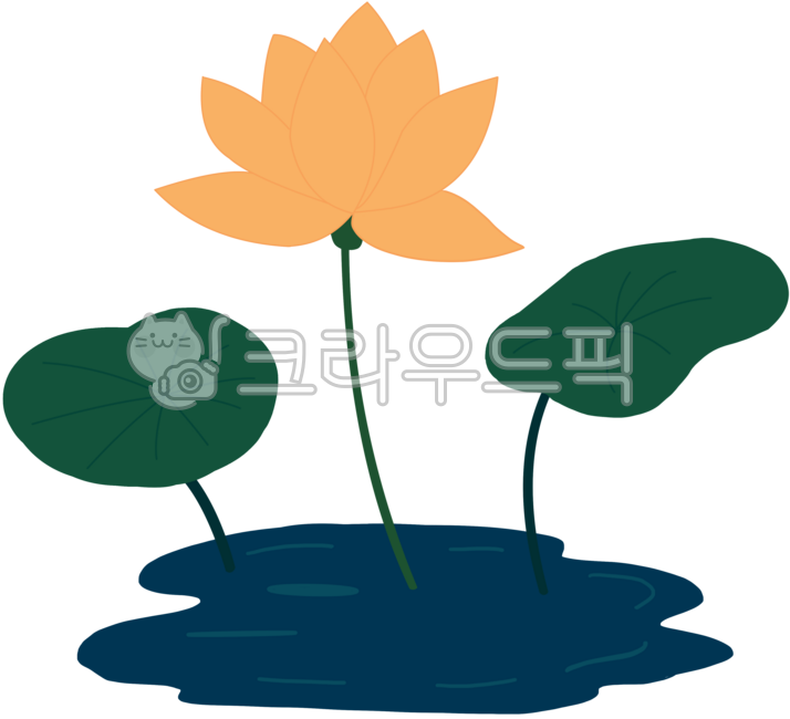 부처님오신날,석가탄신일,연꽃,연잎,수련