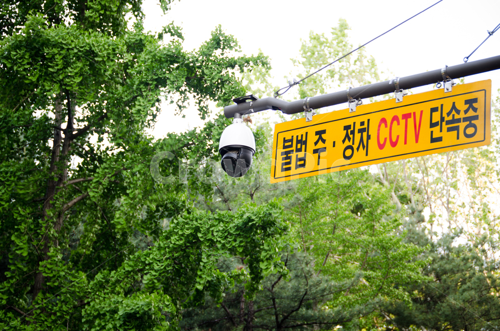 parking,electronics,city,housing,guard,privacy,protection,video,cctv,lens,house,trees,surveillance camera,security,security camera,road,safety,street,record,alarm,surveillance,camera,flowers,license plate number,enforcement,equipment,control,technology,ou