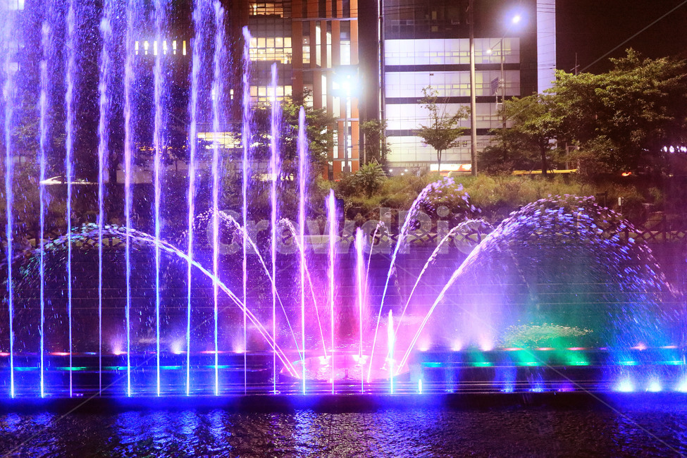 분수,분수쇼,야간분수,물줄기,여름,청량,시원,분수대,야경,밤,풍경,nightscape,night,landscape,축제,행사,festival,carnival,event,water,물,fountain