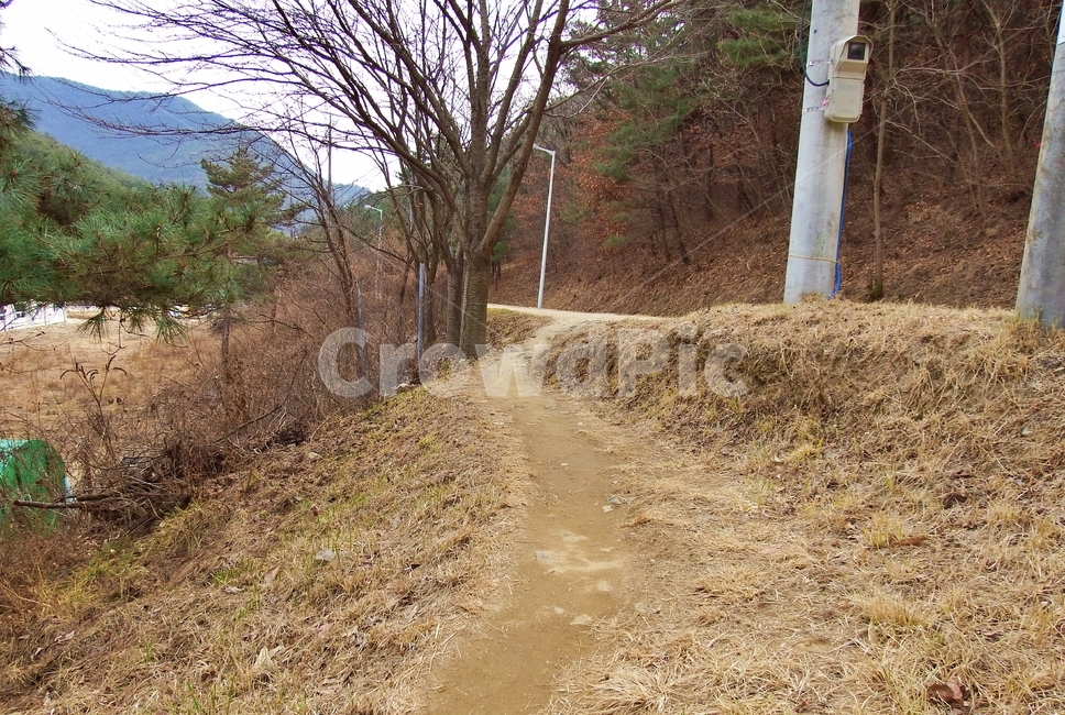 동네뒷산,뒷산,나무,산,산행,산길,자연,풍경,nature,landscape,gravel,자갈,road,도로,dirt road,흙길,ground,바닥