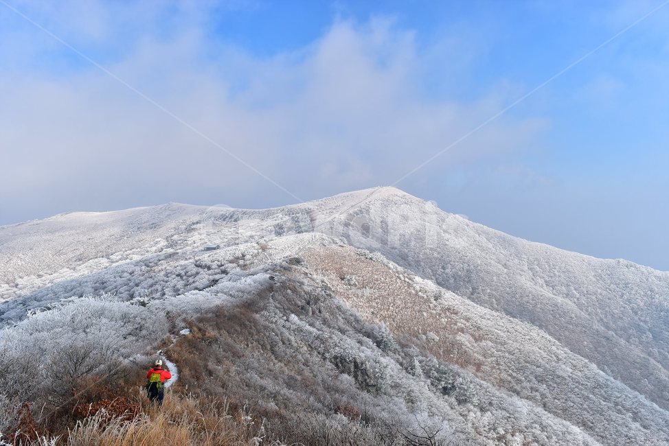 소백산,눈꽃풍경,상고대,겨울풍경,국립공원,겨울동화,힐링,감성,아름다움,뷰티풀,설국,눈풍경,파란하늘,100대명산,겨울명산,설경,서리꽃,snow,landscape,눈,화이트,자연,신비로운,경이로운,천상,비경,치유,산,명산,자연풍경,늦가을,영주,단양,풍기,희방사,삼가리,비로봉,연화봉,겨울,계절,winter,season,자연,풍경,nature,landscape,한국자연풍경,한국자연경관,korea nature landscape,사람,인물,인간,human,person,스포츠,레저,운동,sports,leisure,exercise,건강,헬스웨어,헬스케어,healthware,health care,adventure,모험,leisure activities,레저 활동,outdoors,옥외,slope,경사