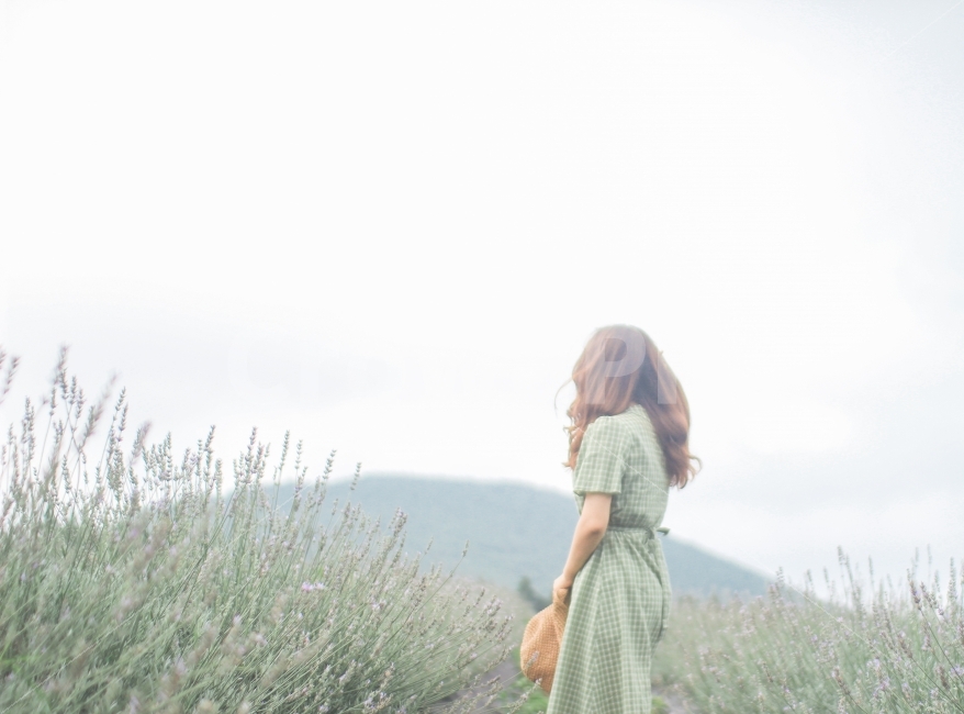 제주도,라벤더,라벤더밭,여행,여행사진,여행지,jeju,jejuisland,보롬왓,분위기,travel,travelphoto,purple,보라,보라색,연보라,꽃,lavender,flower,summer,여름,소녀,여자,여행자,색감,초록,풍경,풍경사진,인물,인물사진,산,mountain,일상,자연,풍경,nature,landscape,한국자연풍경,한국자연경관,korea nature landscape,사람,인물,인간,human,person,여성,여자,woman,female,lady,감성,sensible,feeling,clothing,의류,apparel,의복