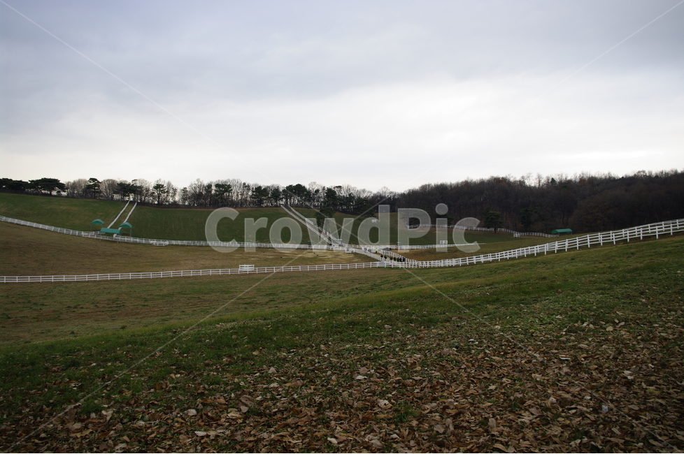 목장,풍경,울타리,하늘,나무,자연,풍경,nature,landscape,outdoors,옥외,field,들,grassland,목초지,ground,바닥