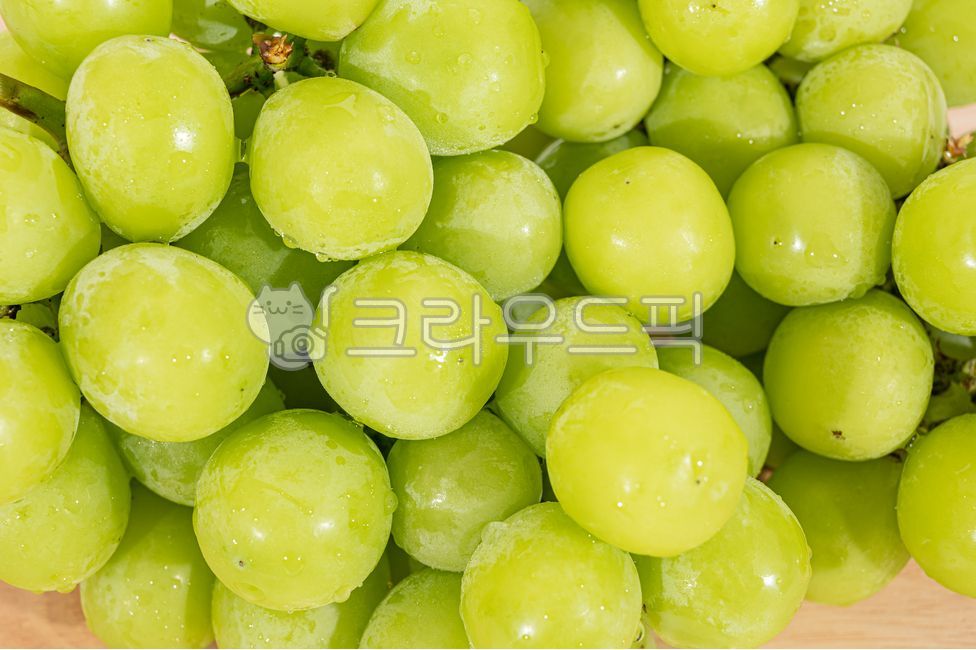 Fresh,Nukki,fruit,white background,No people,inside,fruits,green grape,copy space,ingredients,organic,close up,green,Fruit,bunch of grapes,health,food ingredients,grape,cooking ingredients,food,Shine Muscat,dessert,Shine Musket,autumn,fresh