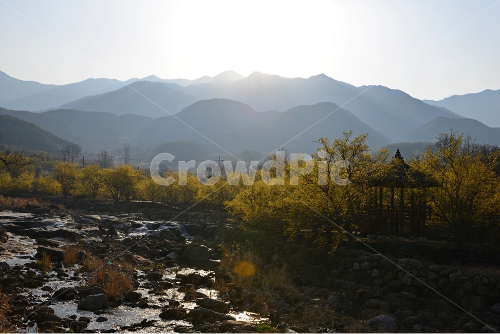 전남,구례,산동,산수유마을,산동산수유마을,산수유,산수유꽃,반영,mountainrange,산맥,mountain,산,nature,자연,water,물,outdoors,옥외,자연,풍경,nature,landscape
