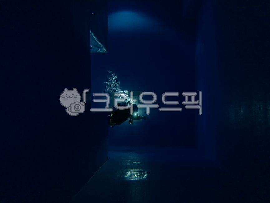 diving,air bubbles,scuba diving,light,water