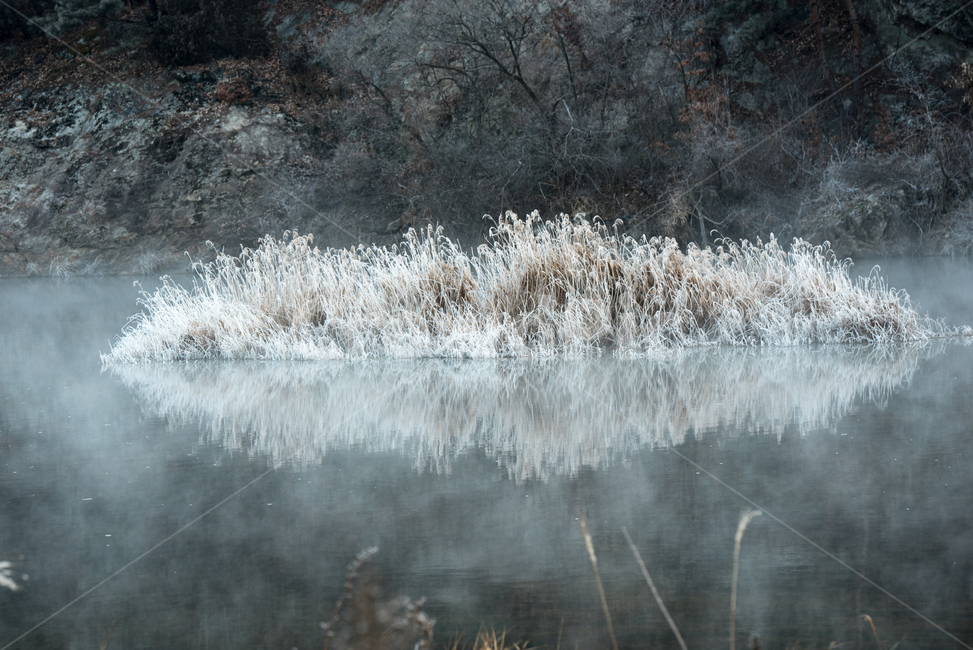 상고대,전북진안,용담댐,겨울풍경,겨울,자연현상,겨울왕국,겨울,계절,winter,season,자연,풍경,nature,landscape,tree,나무,plant,식물