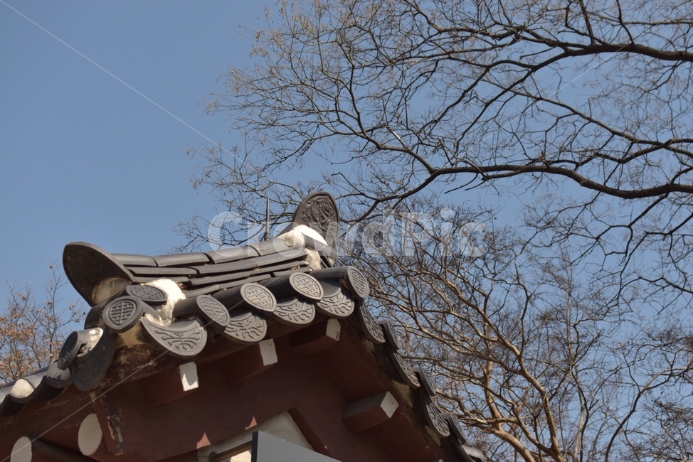 roof,지붕,기와지붕,기와,한옥