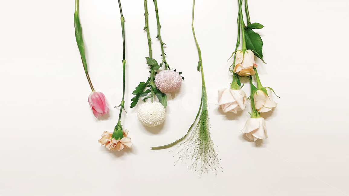 꽃꽂이,flowerarrangement,꽃,flower,blossom,식물,장식,봄,절화,원예,플라워레슨,원데이클래스,원데이레슨,꽃가꾸기,퐁퐁이,카네이션,장미,로즈,rose