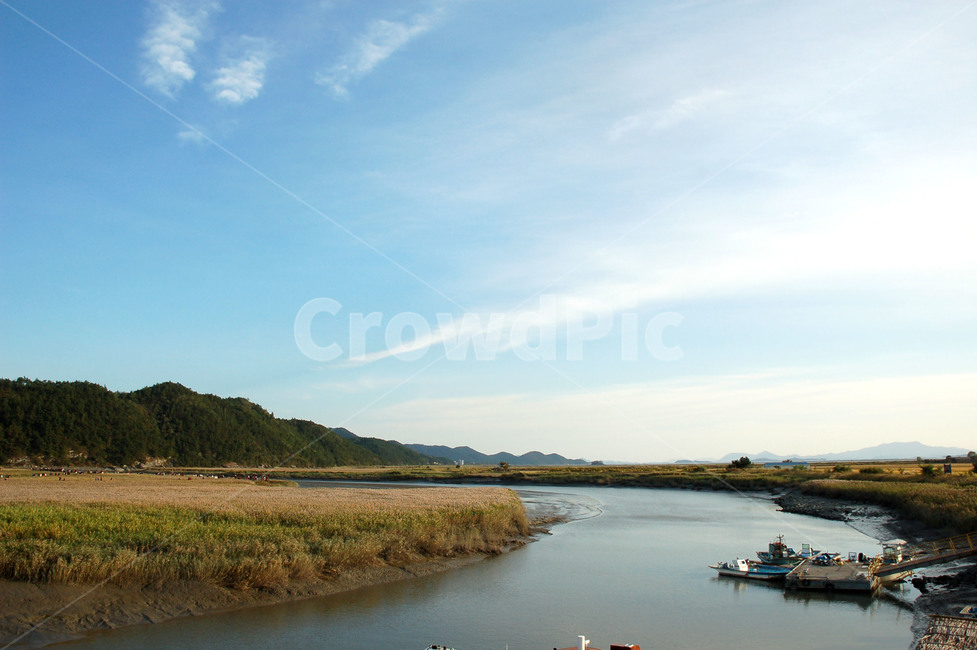 순천만,뱃길,갯벌,하늘,가을,갈대,자연,풍경,nature,landscape,한국자연풍경,한국자연경관,korea nature landscape,water,물,outdoors,옥외
