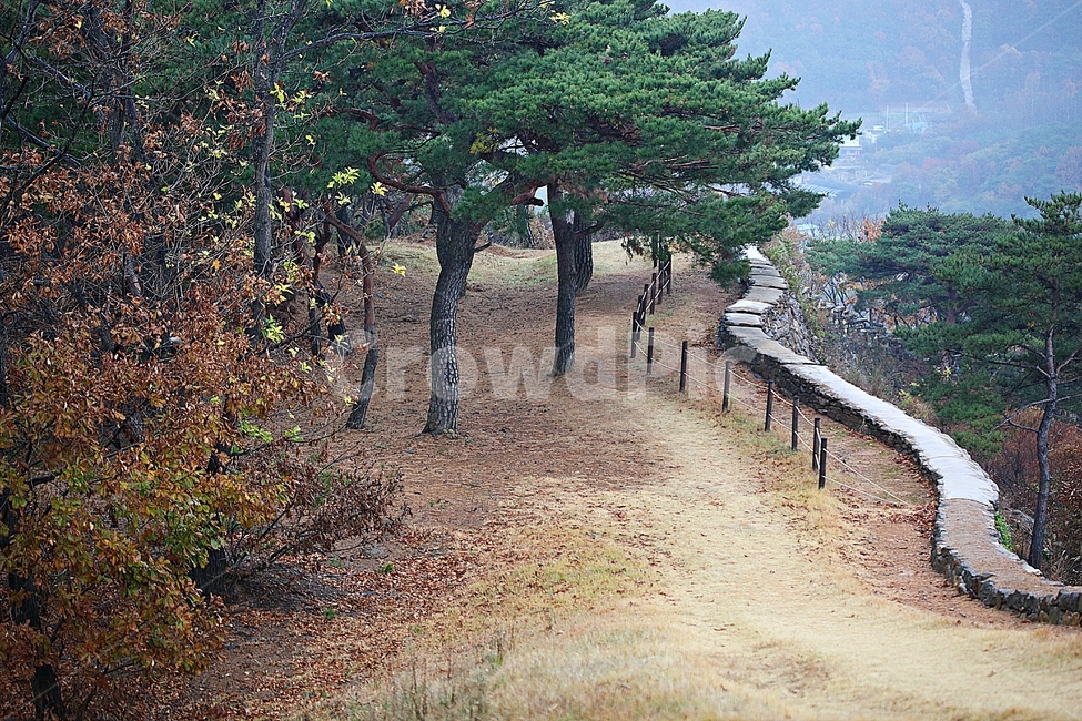 전등사,성,성곽,단풍,낙엽,산성,길,둘레길,숲,숲길,담,돌담,가을,자연,풍경,벽,방어벽,돌,나무,식물,가을,계절,fall,autumn,season,자연,풍경,nature,landscape