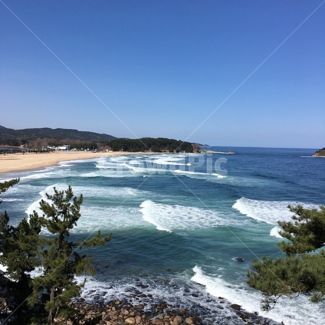바다,나무,하늘,해수욕장,파도,풍경,화진포해수욕장,자연,풍경,nature,landscape,해변,바다,beach,sea,promontory,곶,outdoors,옥외,ocean,대양,water,물,shoreline,해안선