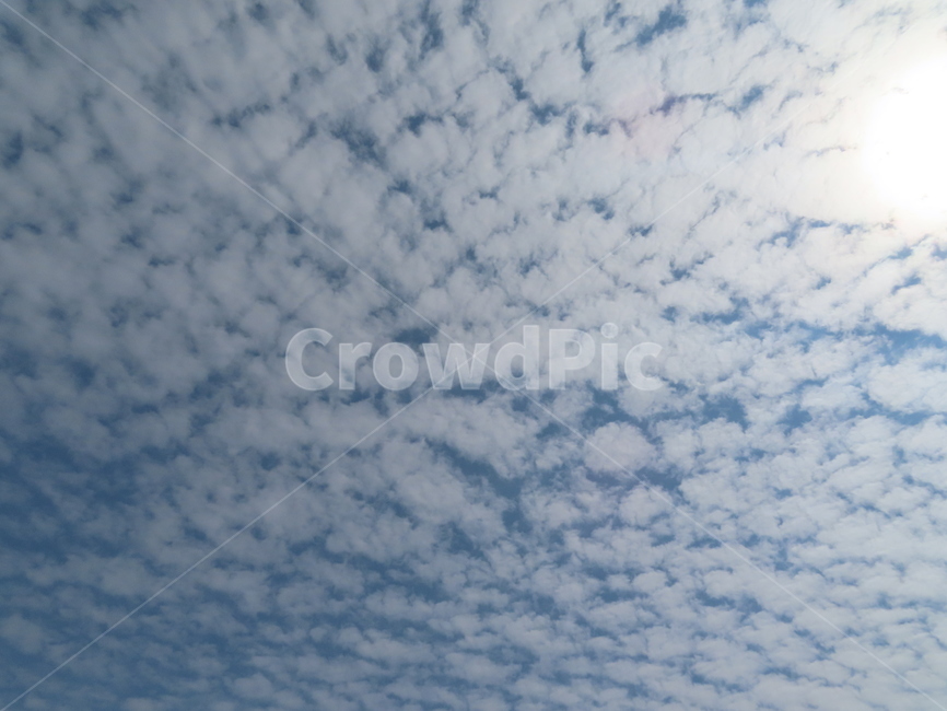 구름,하늘,자연,흰색,파랑색,아름다움,풍경,cloud,sky,white,blue,beauty,nature,scenery