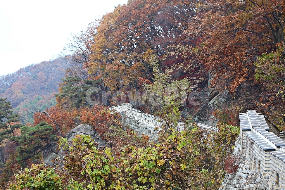 남한산성,성,성곽,단풍,낙엽,길,둘레길,숲,숲길,담,돌담,가을,자연,풍경,벽,울긋불긋,산성,식물,가을,계절,fall,autumn,season,자연,풍경,nature,landscape,tree,나무,plant