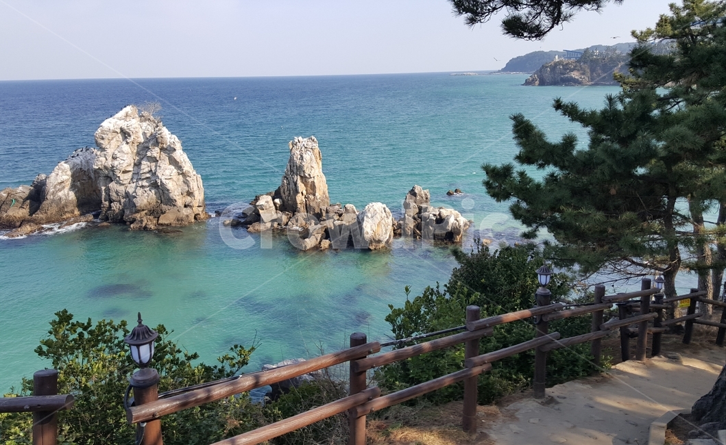 바닷가,바다,하늘,바위,암석,암초,소나무,자연,풍경,nature,landscape,promontory,곶,railing,난간
