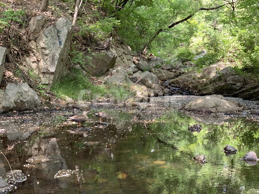 풍경,야생,자연,nature,outdoors,물,water,자연,풍경,nature,landscape