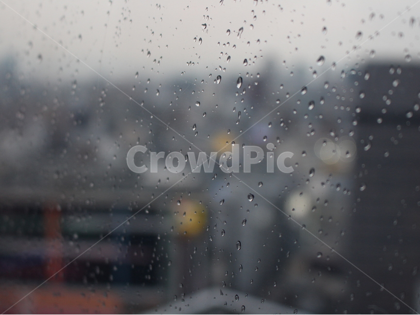 비,창문,빗방울,흐림,비오는날,rainyday,감성,sensible,feeling,비,비오는날,rain,rainy