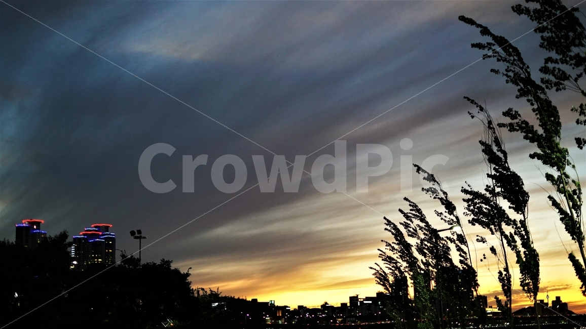 서울,한강,야경,노을,저녁노을,야경,밤,풍경,nightscape,night,landscape,도시,city,한국도시풍경,한국도시경관,korea cityscape,grass,잔디,plant,식물,nature,자연,outdoors,옥외
