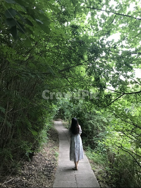 초록,여자,woman,영국,풍경,사람,나무,숲,자연,휴식,감성,힐링,human,tree,계절,꿈,정원,뒷모습,사람,인물,인간,human,person,여성,여자,woman,female,lady,여행,휴가,traveling,vacation,trip