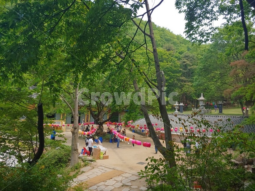 부처님오신날,연등,봄,5월,석가탄신일