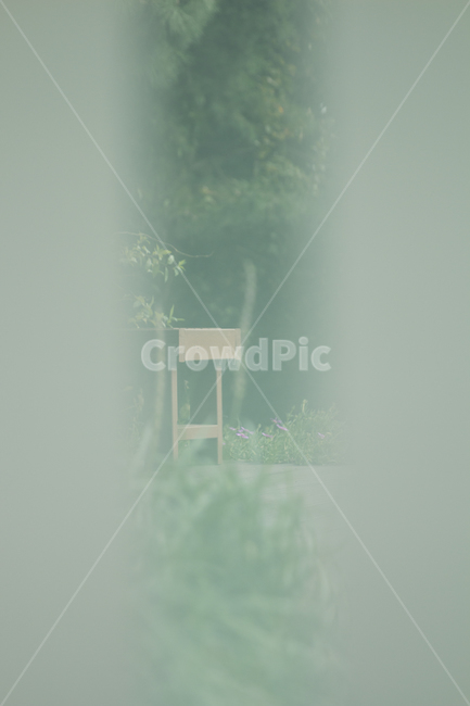 nature,자연,날씨,fog,감성,안개