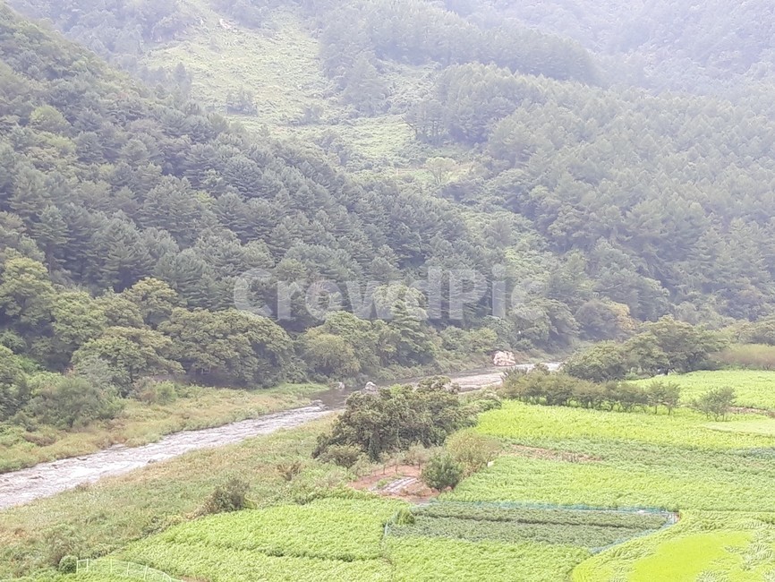 nature,자연,계곡,outdoors,scenery,가평천,자연,풍경,nature,landscape,옥외