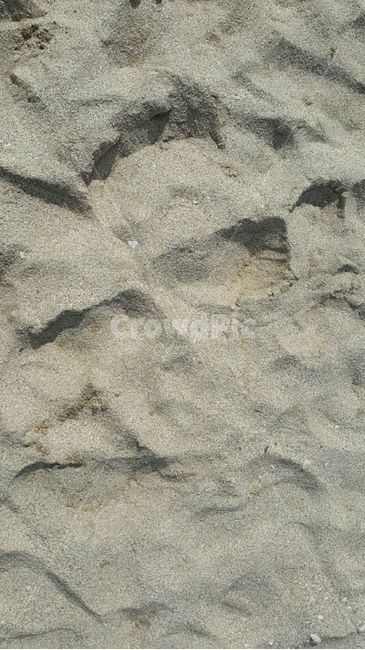 모래,바다,휴가,여름,모래사장