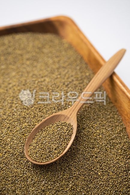 조, 차조, 곡물, 곡류, 잡곡, 사진,이미지,일러스트,캘리그라피 - dangolimage작가