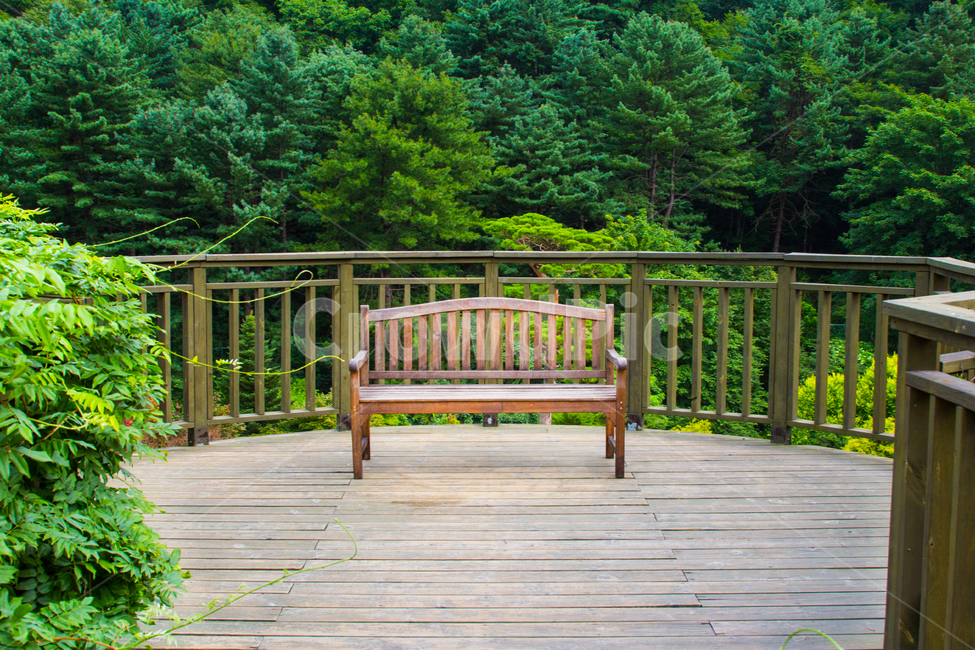 벤치,의자,숲속,공원,배경,산책,산행,산보,자연,풍경,nature,landscape,bench