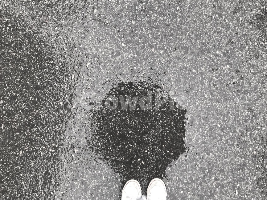 감성사진,비내리는날,아침산책,비,우산,산책,rainday,비,비오는날,rain,rainy