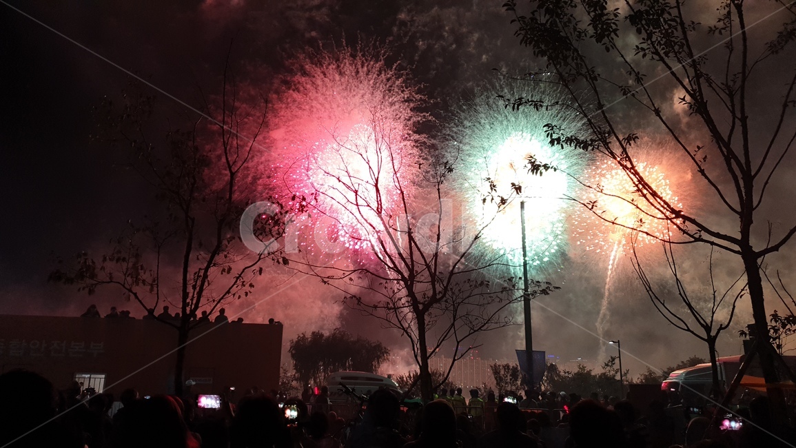 인간,사람,자연,불꽃,축제,옥외,여의도,나이트,빛,플레어,human,nature,outdoors,night,fireworks,light,flare,축제,행사,festival,carnival,event