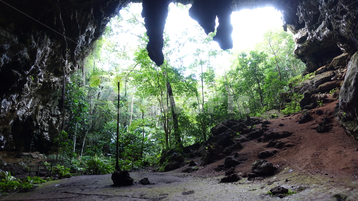 자연,nature,cave,grotto,동굴,초록,green,오르텐스,오르텐스동굴,뉴칼레도니아