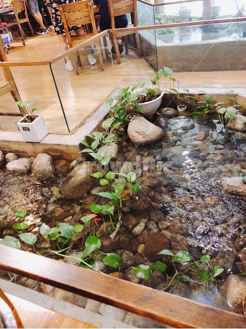 물,연못,돌,풀,화분,인테리어,실내디자인,interior design