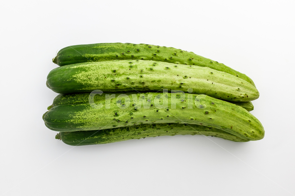 오이,채소,야채,날것,식물,재료,식재료,음식재료,긴,클로즈업,식품,음식,요리,채식,초록색,촉촉한,자연