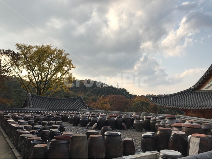 한국적,장독,기와,전통,한국,시골,한국전통,한국문화,korean traditional,korean culture