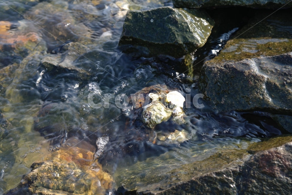 바다,자연,파도,물결,생명,굴,바위,돌,해변,여행,힐링,자연,풍경,nature,landscape,rock,록,outdoors,옥외,water,물