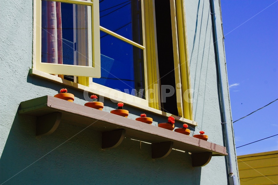 창틀,창,미국,화분,선반,건축물,건물외관,exterior,building,structure,architecture,construction