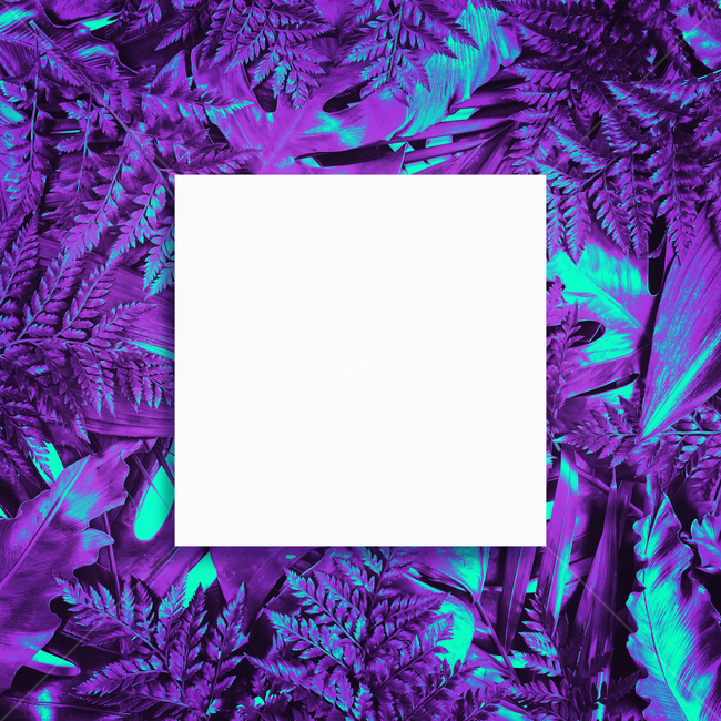 prepare,natural,neon,Botanical Frame,Botanical,leaf,summer,tropical,background image,palm tree,Neon,reversal,background,plant,tropical plants,jungle,colorful,frame