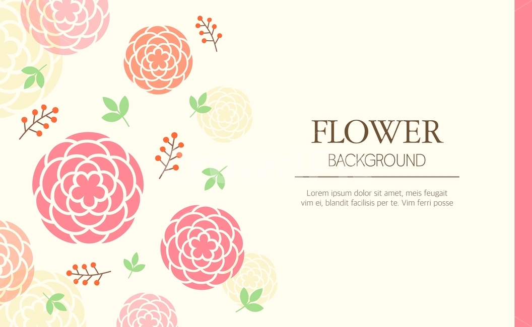 꽃,프레임,일러스트,패턴,배경,백그라운드,배너,팝업,카드,꽃,flower,그래픽,일러스트레이션,graphic,illustration