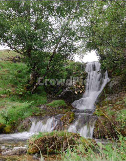 폭포,자연,시원함,여름,푸름,nature,waterfall,landscape,자연,풍경,nature,landscape,river,강,water,물,outdoors,옥외