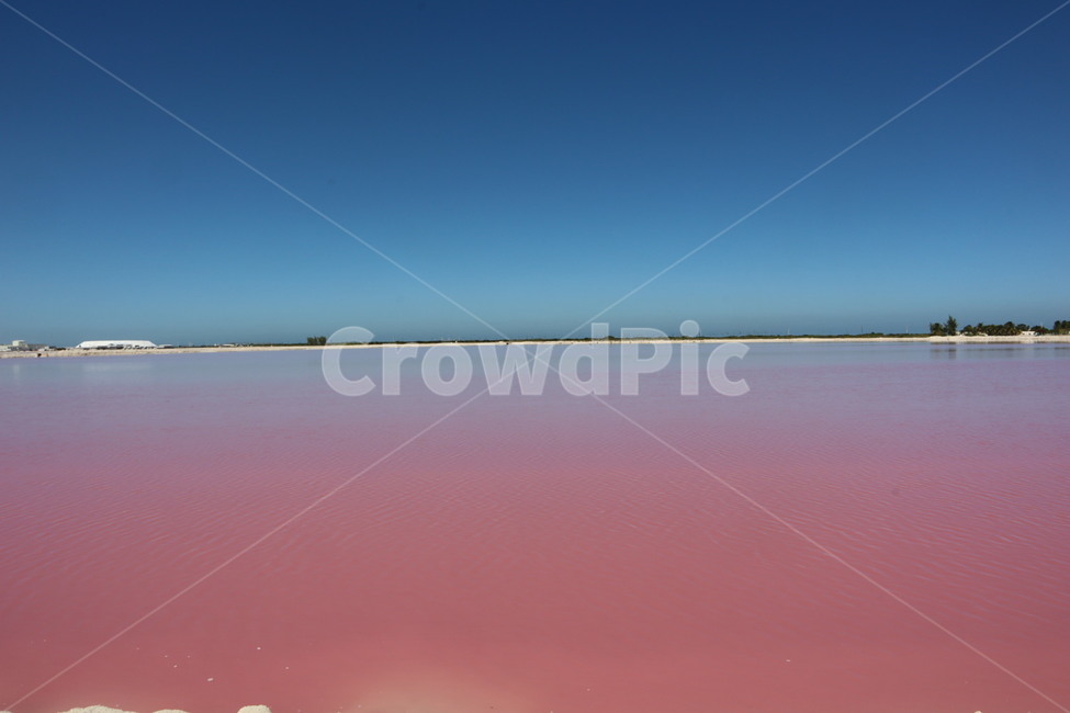 멕시코,유카탄,핑크라군,호수,핑크,분홍,mexico,pink,자연,풍경,nature,landscape,해외,외국,세계,foreign,oversea,world,세계자연풍경,해외자연풍경,외국자연풍경,world nature landscape,outdoors,옥외