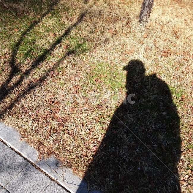 감성,감성사진,인물,그림자,분위기