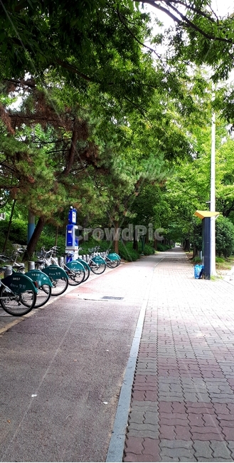 봄,자전거,인도,가로수,spring,보도블럭,나무,푸른,초록,나뭇잎,bicycle,sidewalkblock,tree,green,leaf