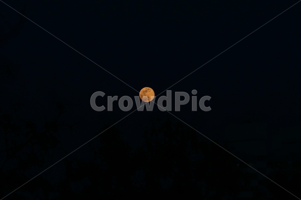 달,밤,보름달,밤하늘,야경,풍경,달빛,moon,moonlight,night,fullmoon