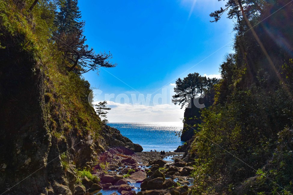 land,nature,해안선,자연,outdoors,water,shoreline,plant,나무,tree,동화,dream,바다,자연,풍경,nature,landscape
