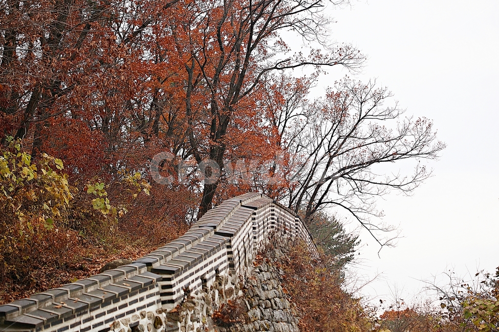 남한산성,성,성곽,단풍,낙엽,길,둘레길,숲,숲길,담,돌담,가을,자연,풍경,벽,울긋불긋,산성,식물,가을,계절,fall,autumn,season