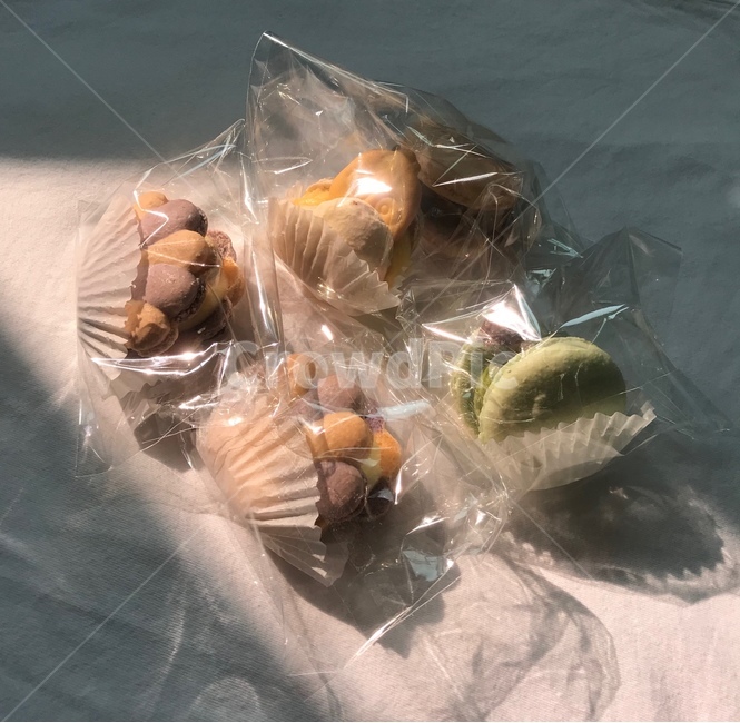 마카롱,카페,디저트,햇빛,그림자